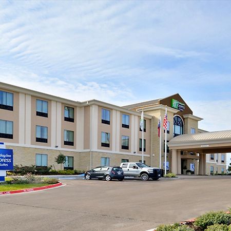 Holiday Inn Express And Suites Schulenburg By Ihg Екстериор снимка
